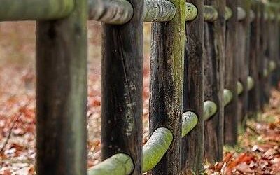 Sit voluptates id rem totam.